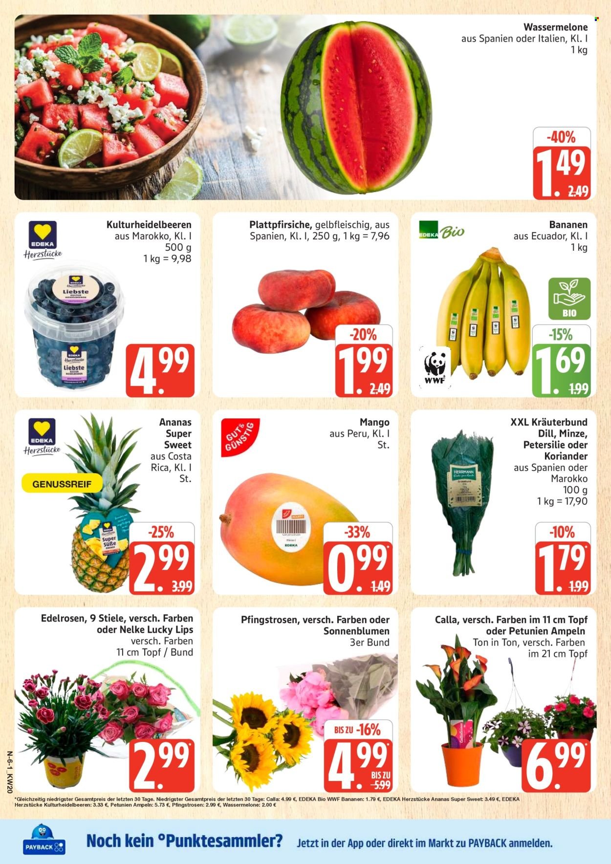 MARKTKAUF Prospekt - Ab Montag 11.05.2026 (2026-05-11 - 2026-05-16)