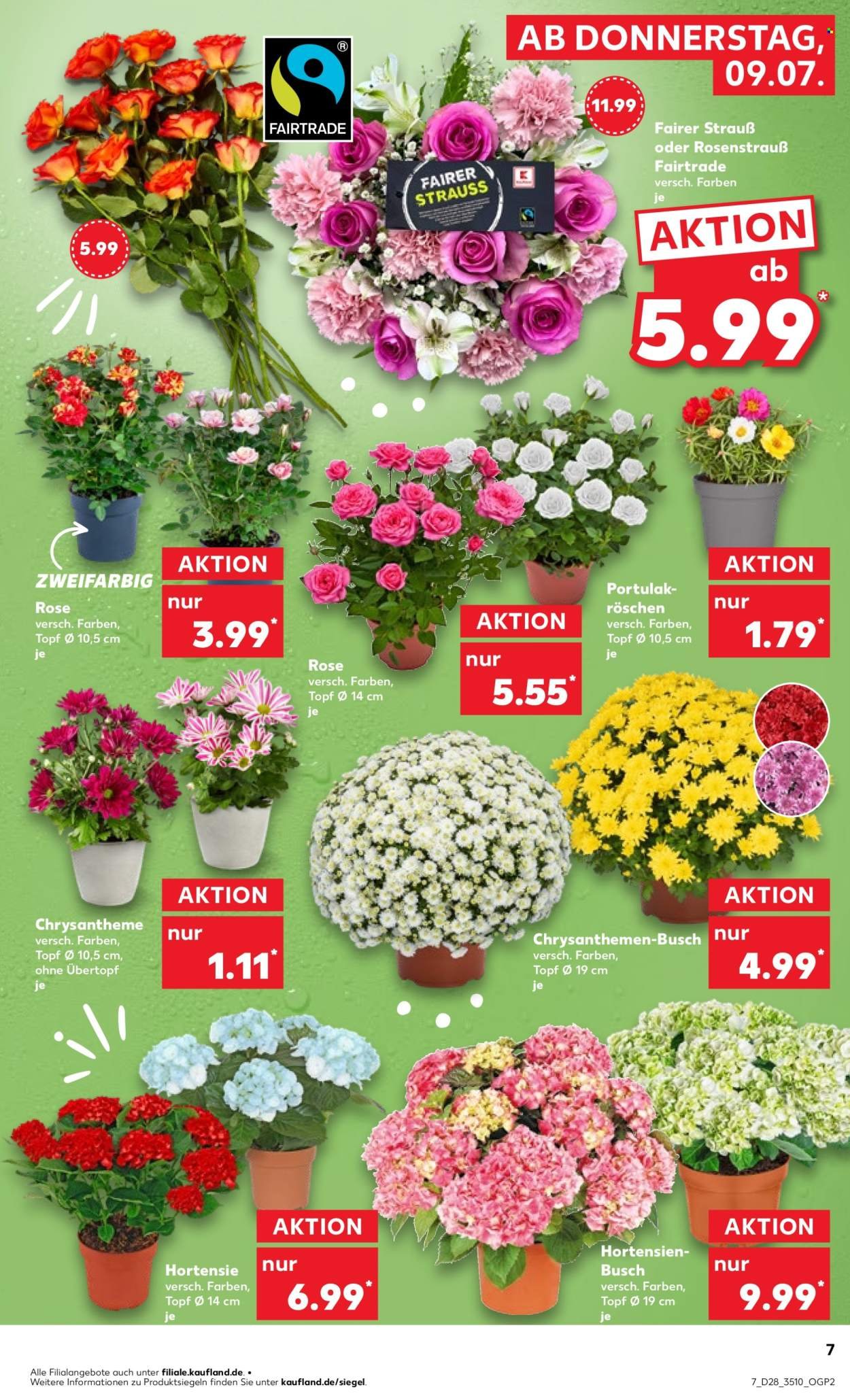 KAUFLAND Prospekt - Ab Donnerstag 9.07.2026