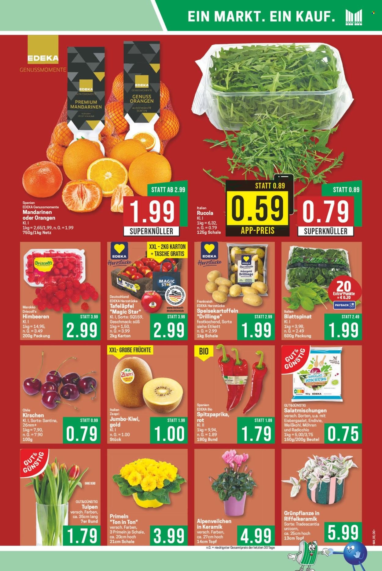 MARKTKAUF Prospekt - Ab Montag 19.01.2026