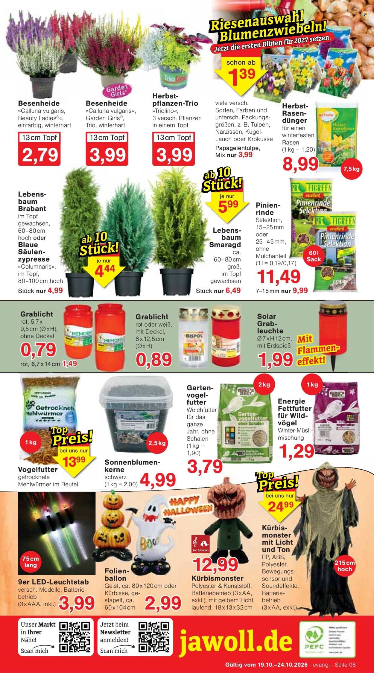 JAWOLL Prospekt - Ab Montag 19.10.2026