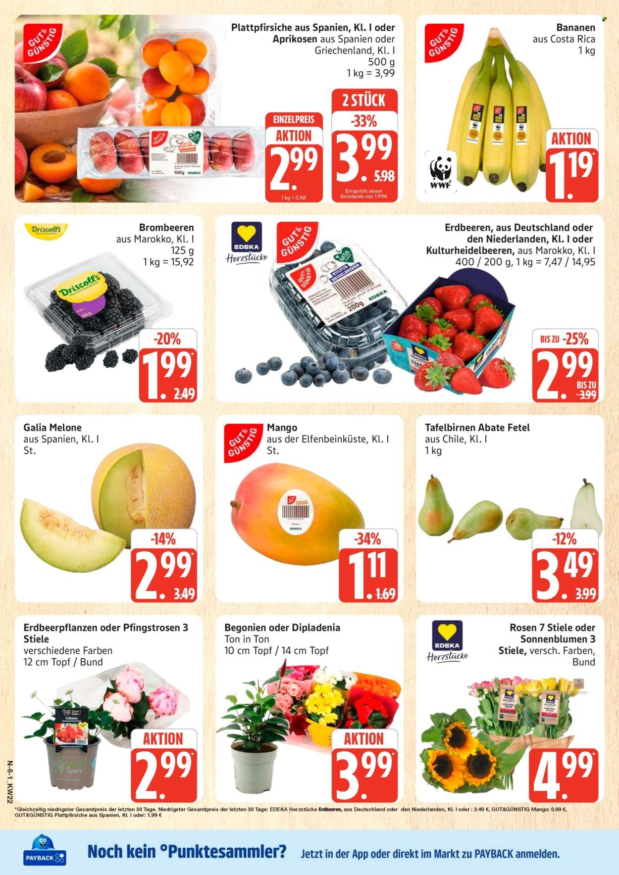 MARKTKAUF Prospekt - Ab Dienstag 26.05.2026 (2026-05-26 - 2026-05-30)