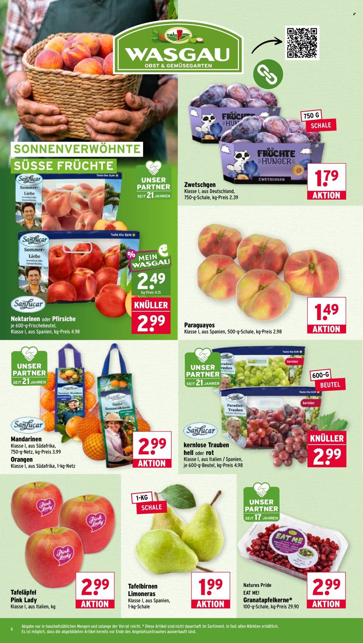 WASGAU Prospekt - Ab Montag 24.08.2026