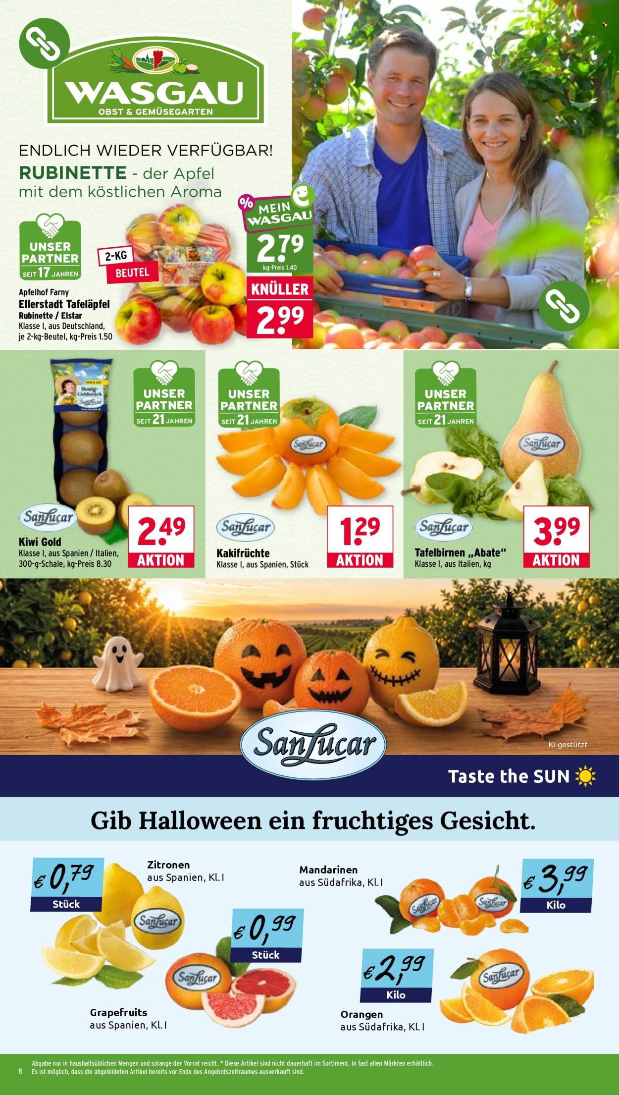 WASGAU Prospekt - Ab Montag 26.10.2026