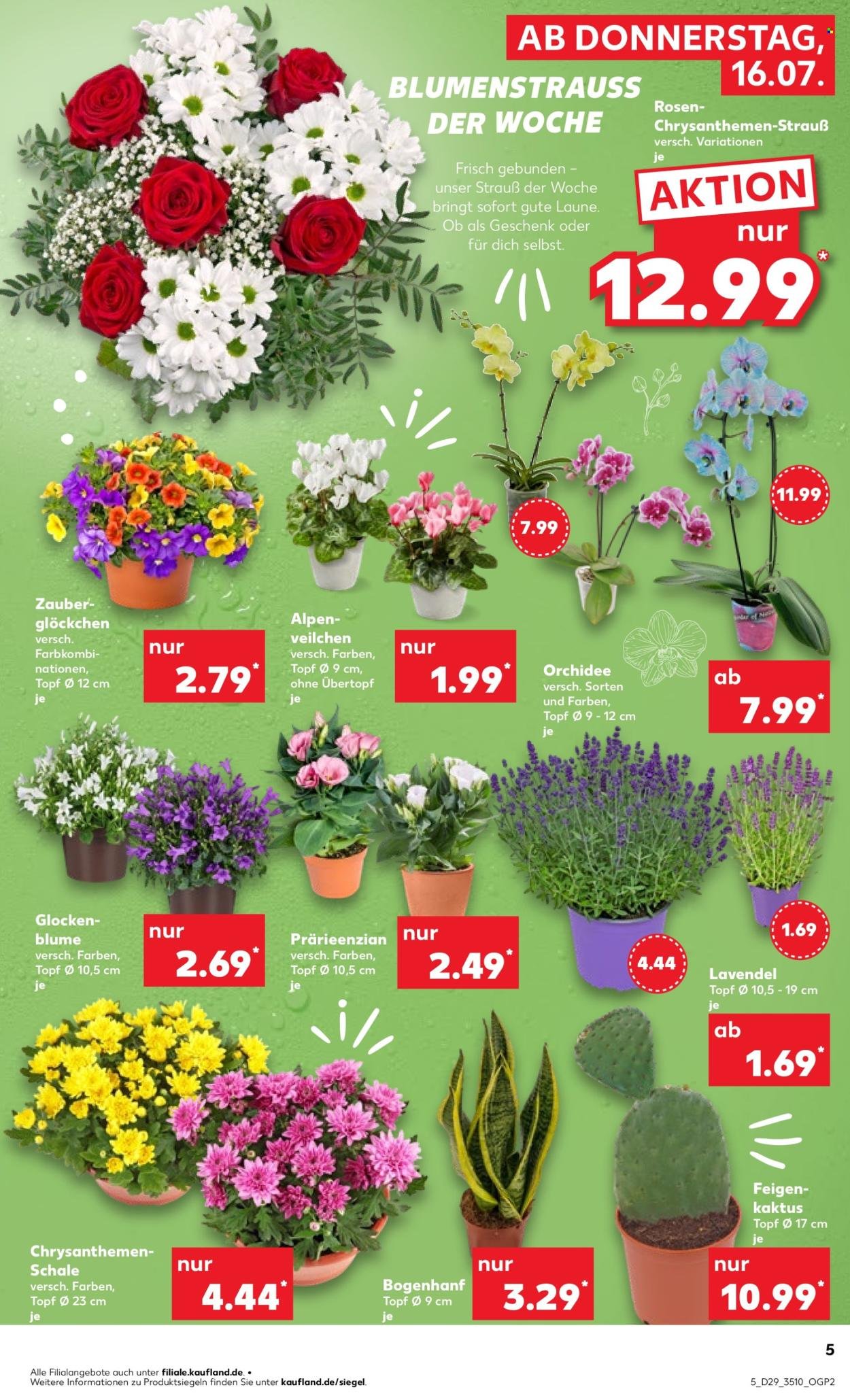 KAUFLAND Prospekt - Ab Donnerstag 16.07.2026