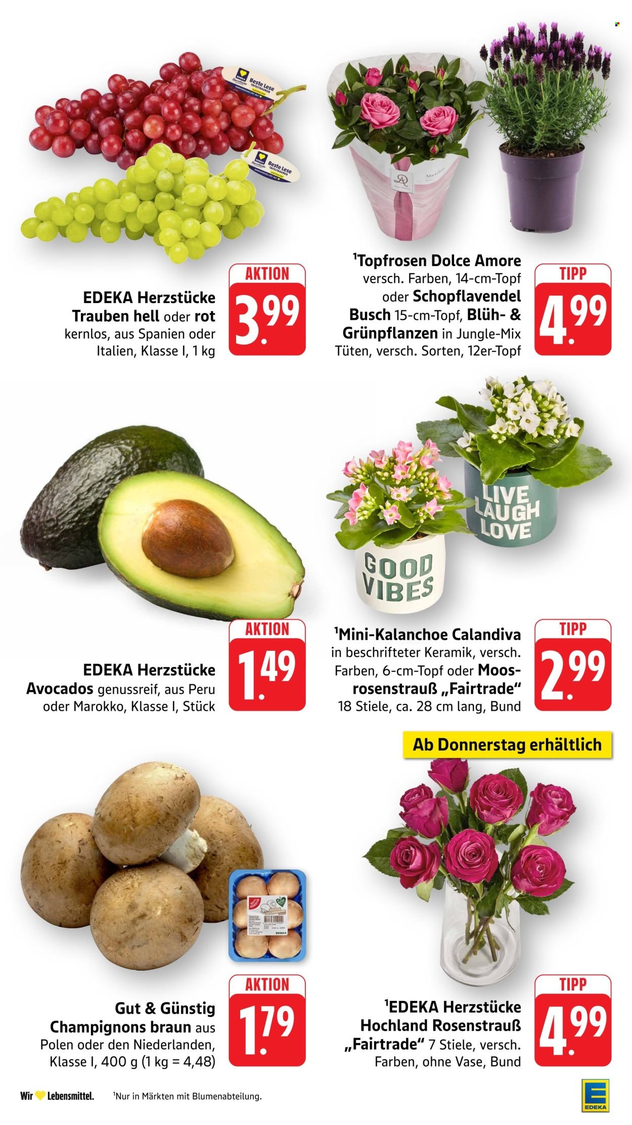 EDEKA Prospekt - Ab Montag 10.08.2026