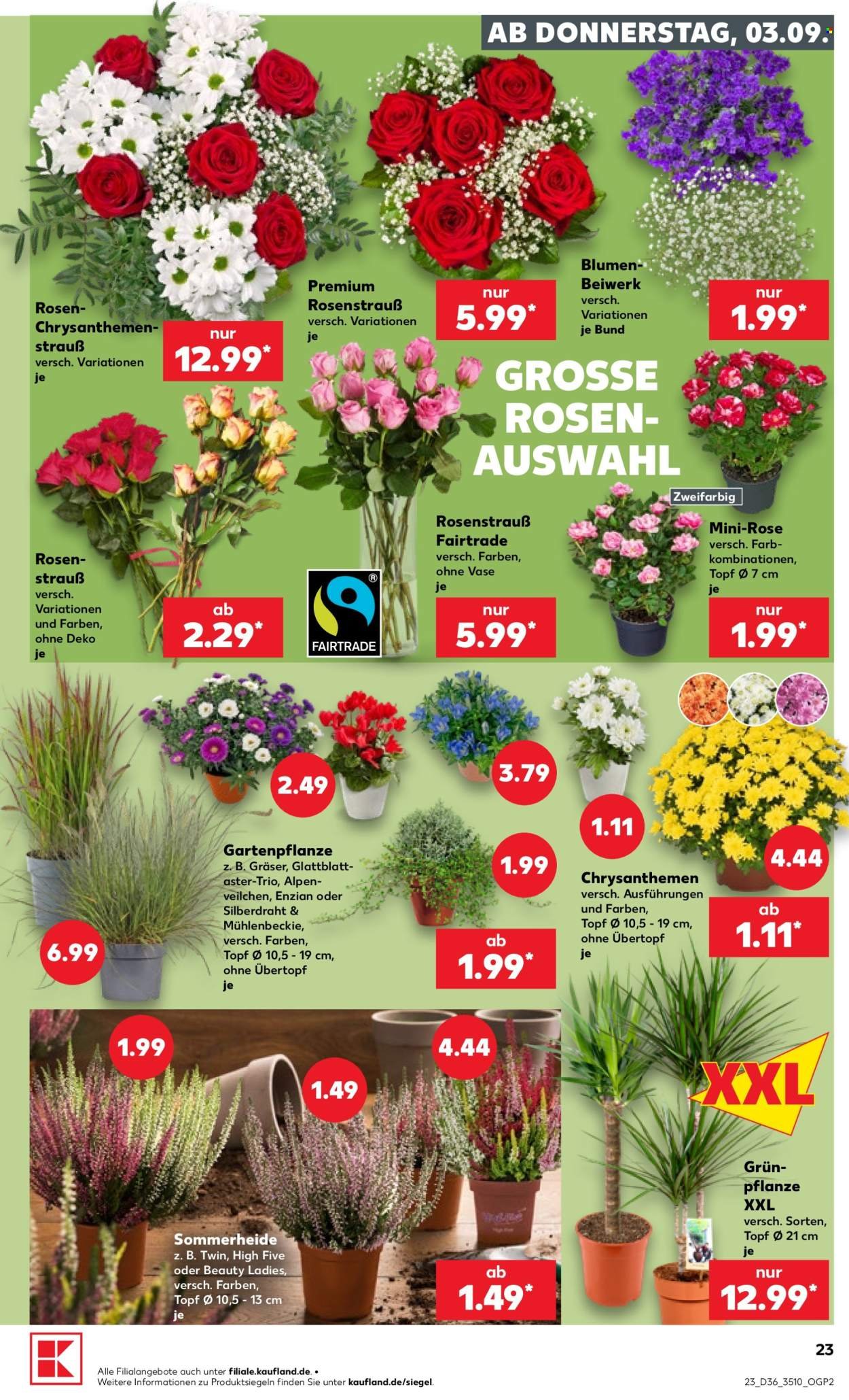 KAUFLAND Prospekt - Ab Donnerstag 3.09.2026