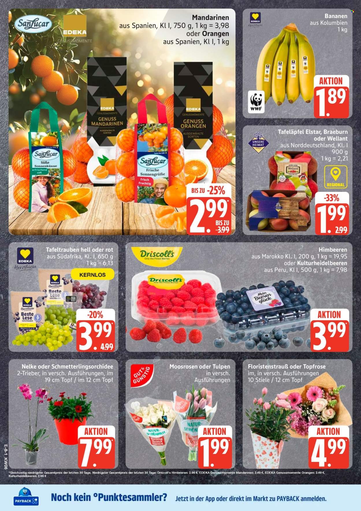 MARKTKAUF Prospekt - Ab Montag 2.02.2026