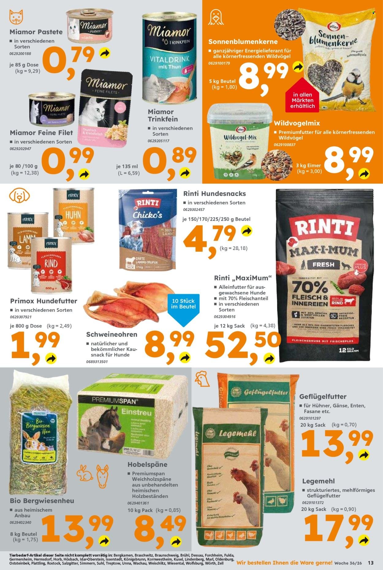 GLOBUS BAUMARKT Prospekt - Ab Montag 31.08.2026
