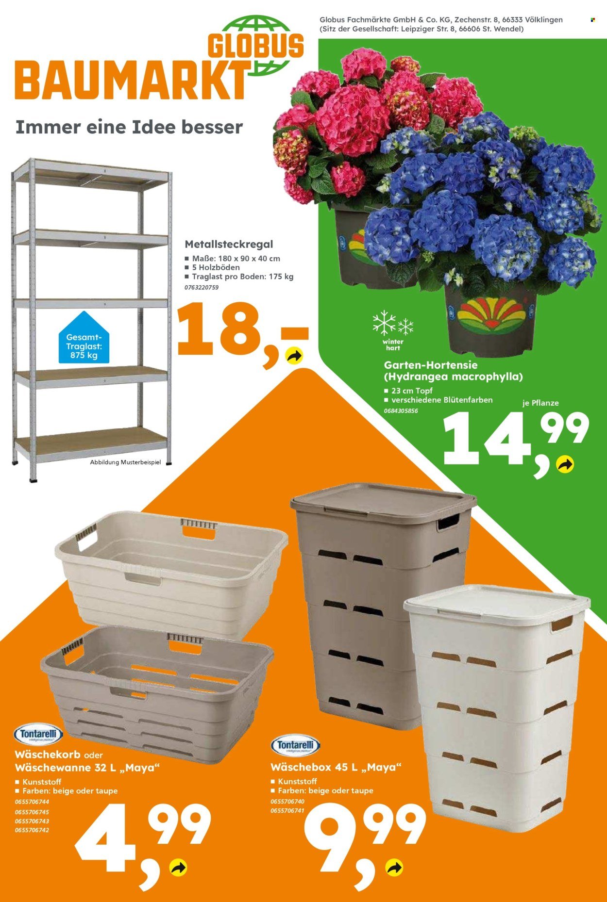 GLOBUS BAUMARKT Prospekt - Ab Montag 31.08.2026