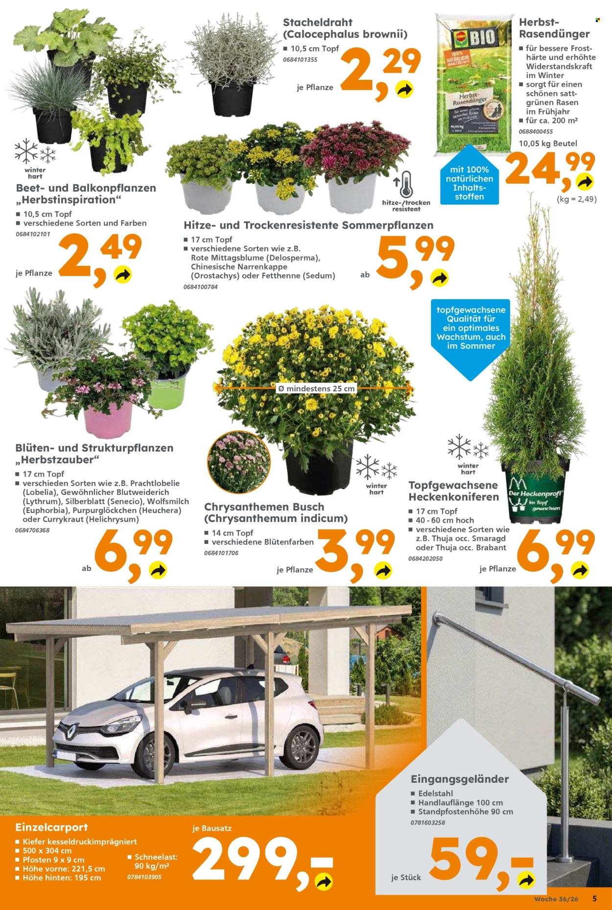 GLOBUS BAUMARKT Prospekt - Ab Montag 31.08.2026