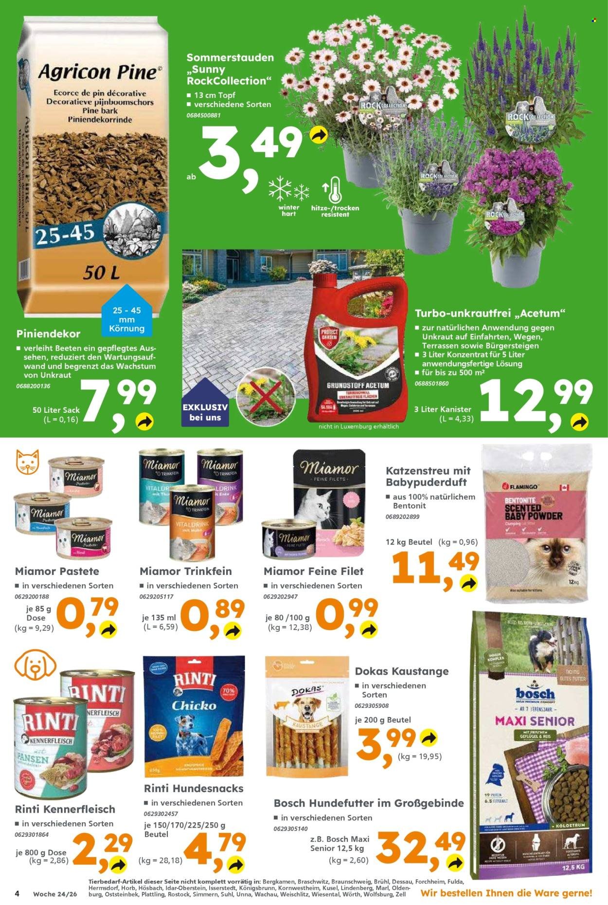 GLOBUS BAUMARKT Prospekt - Ab Montag 8.06.2026
