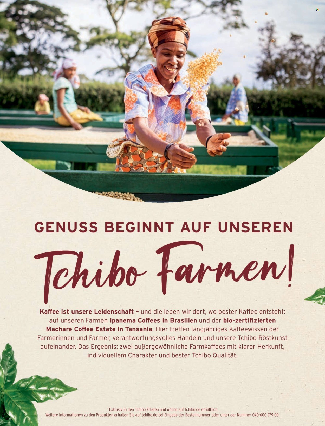 TCHIBO Prospekt - August 2026