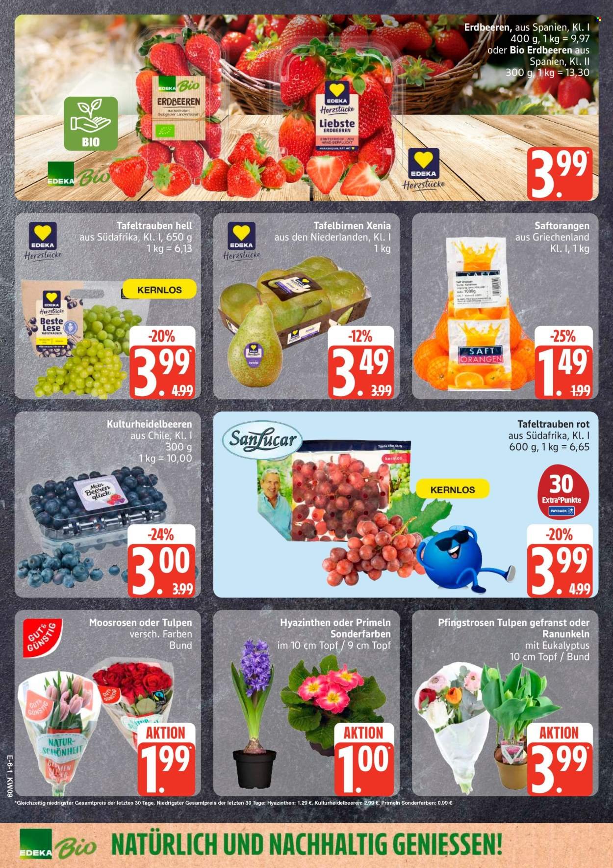 MARKTKAUF Prospekt - Ab Montag 23.02.2026