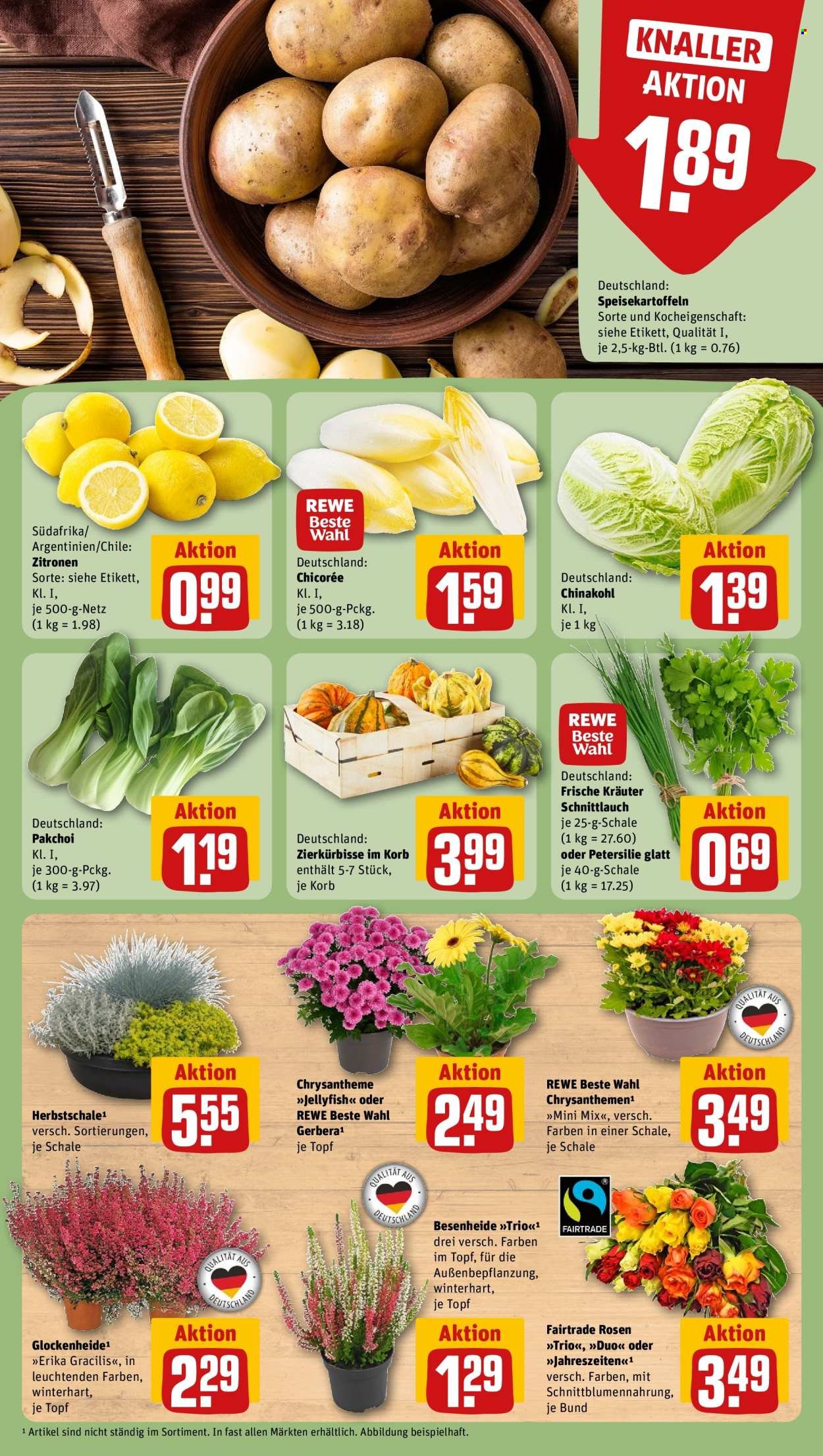 REWE Prospekt - Ab Montag 21.09.2026