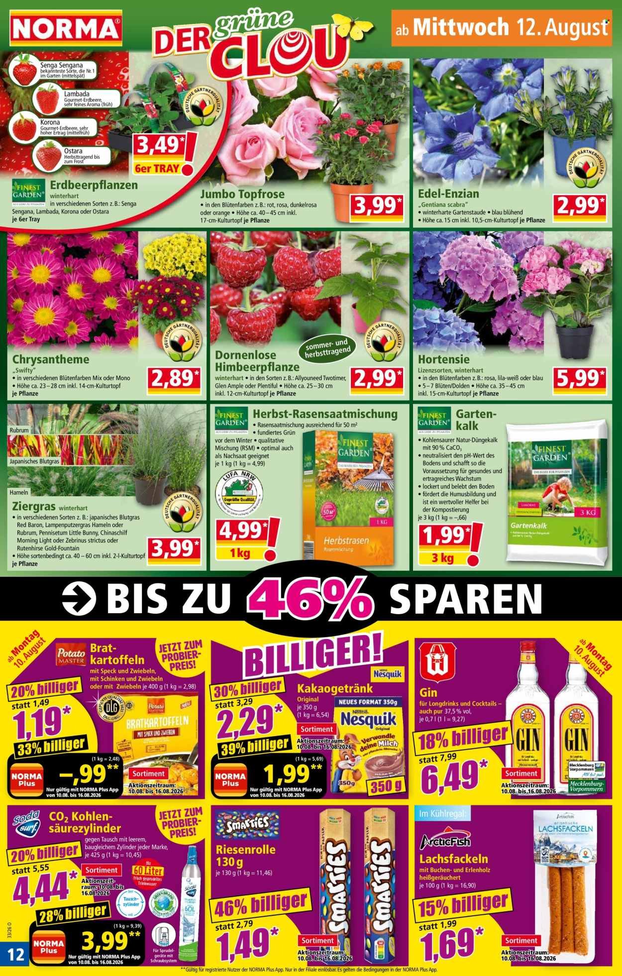 NORMA Prospekt - Ab Montag 10.08.2026