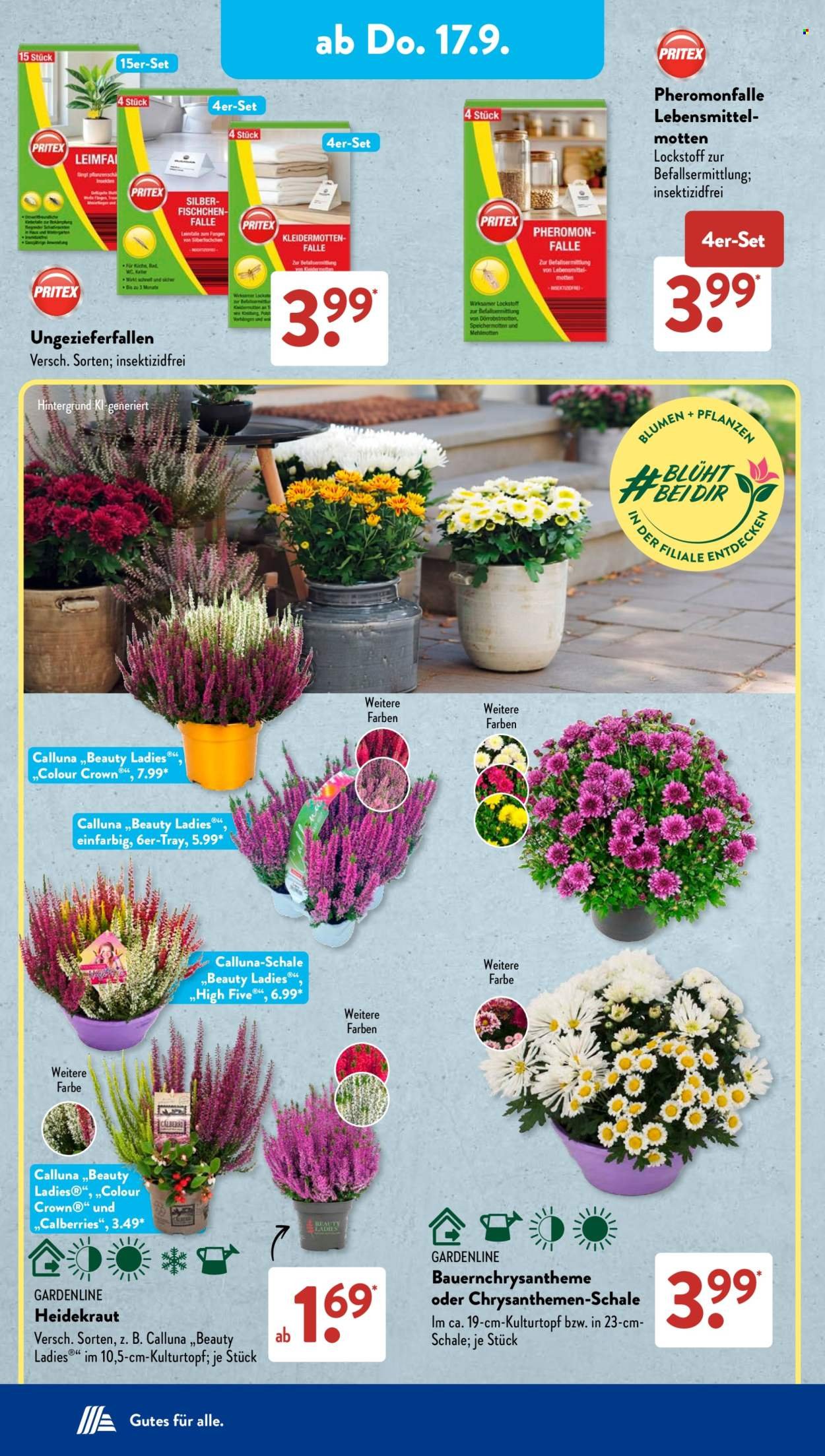 ALDI SÜD Prospekt - Ab Montag 14.09.2026