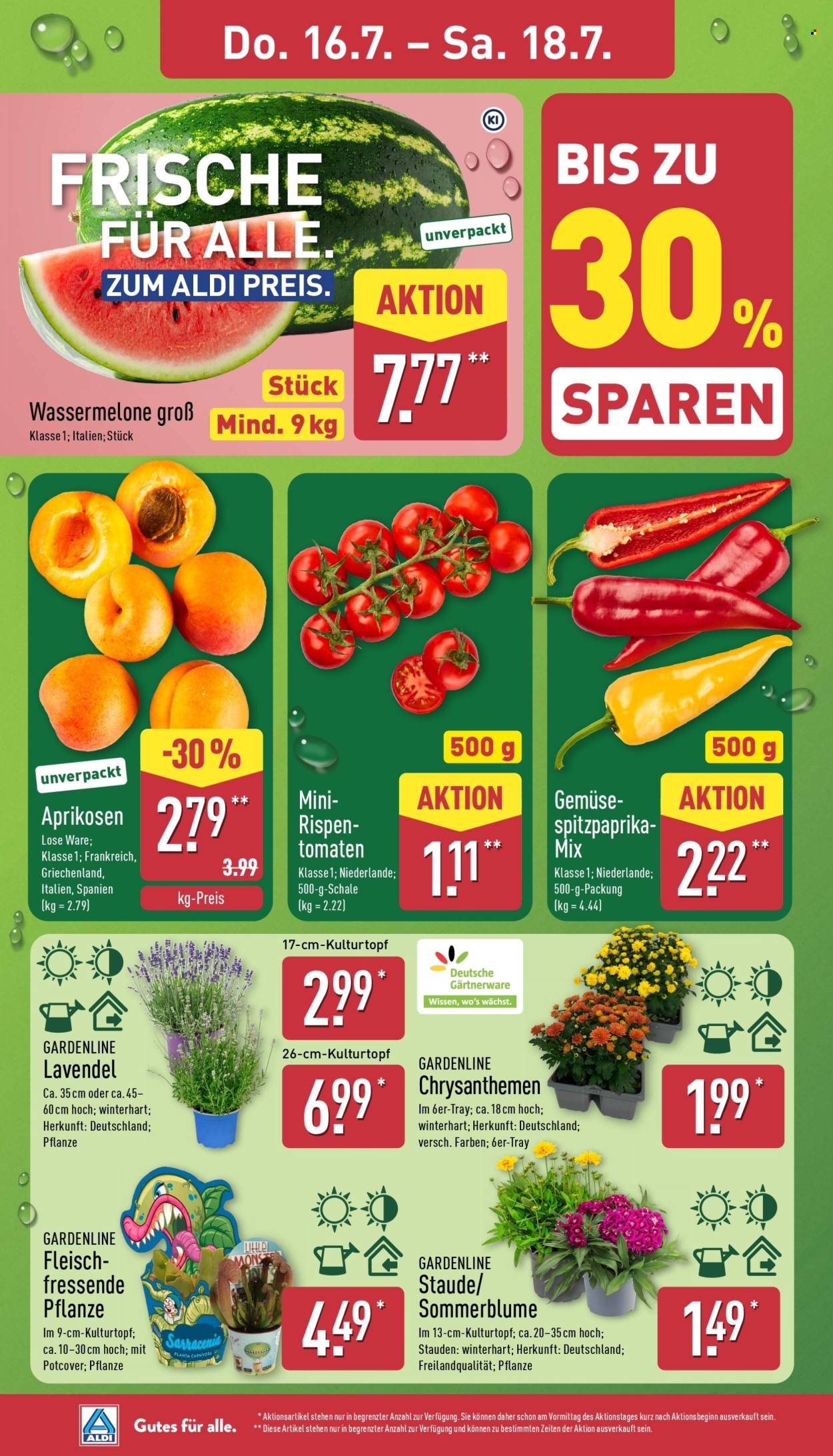 ALDI NORD Prospekt - Italienische Woche