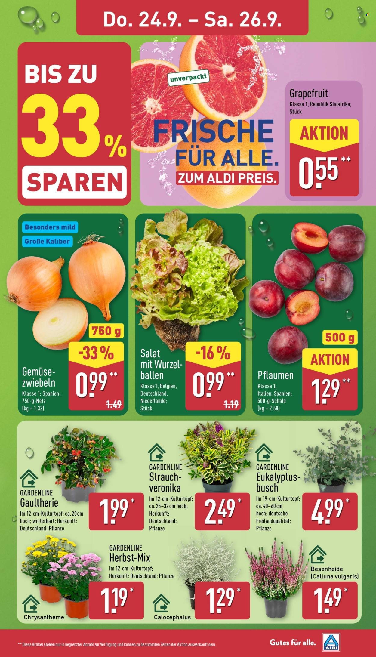 ALDI NORD Prospekt - Ab Montag 21.09.2026