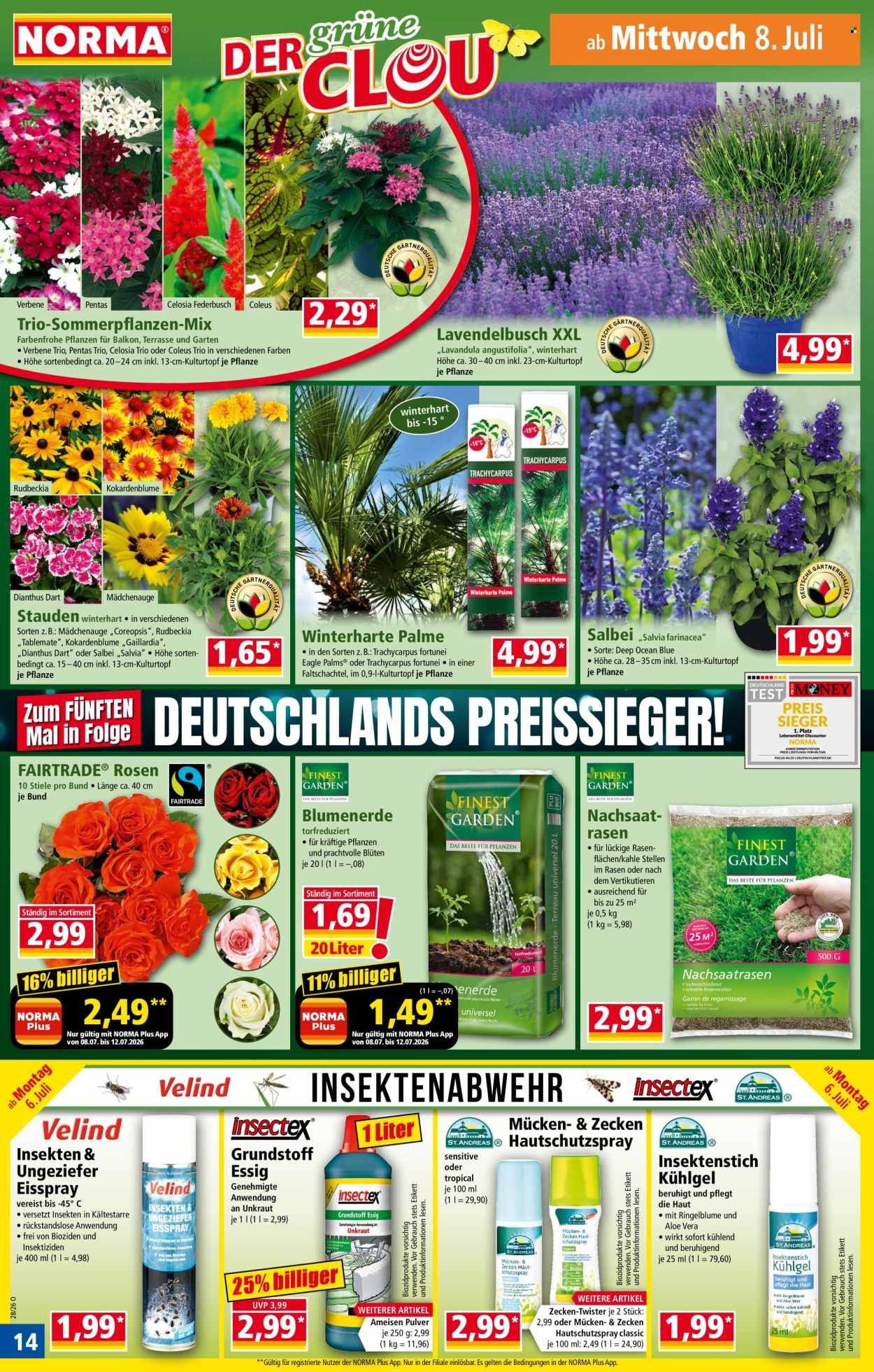 NORMA Prospekt - Ab Montag 6.07.2026