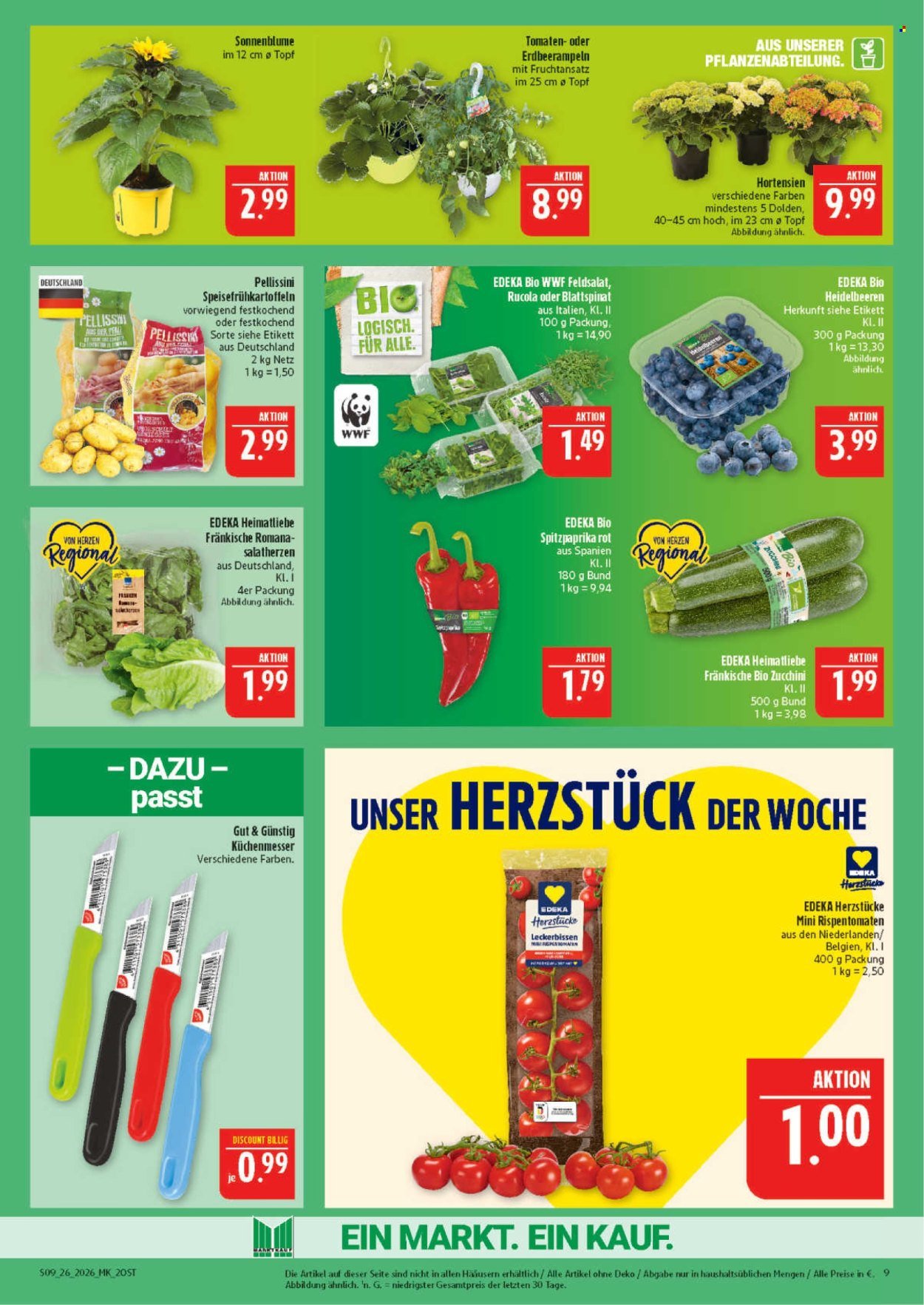 MARKTKAUF Prospekt - Ab Montag 22.06.2026