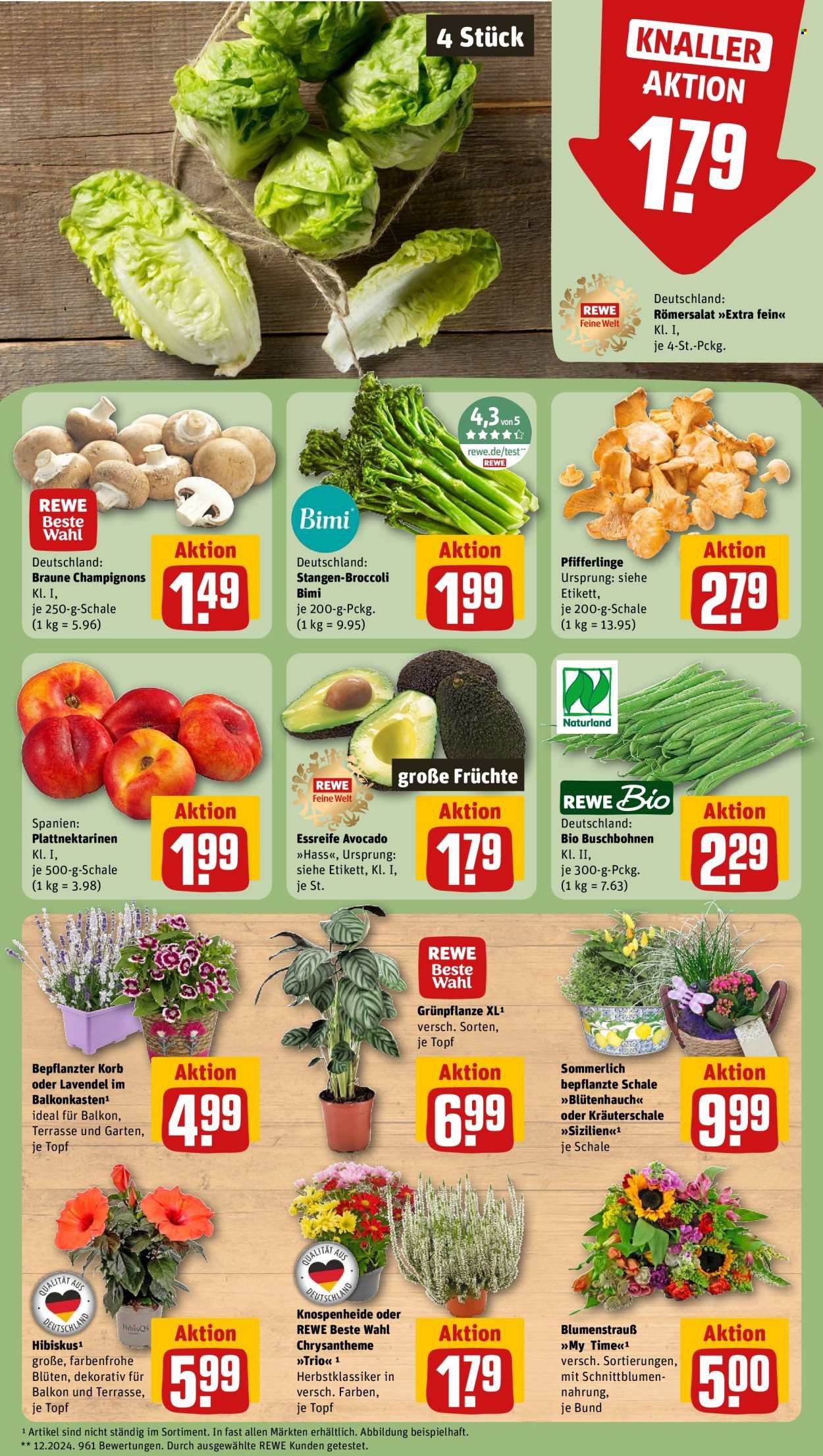 REWE Prospekt - Ab Montag 17.08.2026