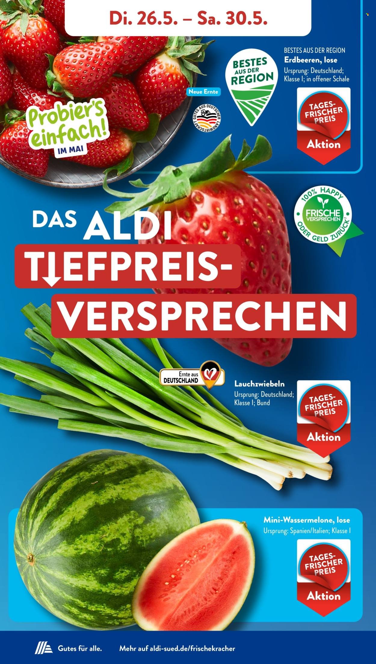 ALDI SÜD Prospekt - Ab Dienstag 26.05.2026 (2026-05-26 - 2026-05-30)
