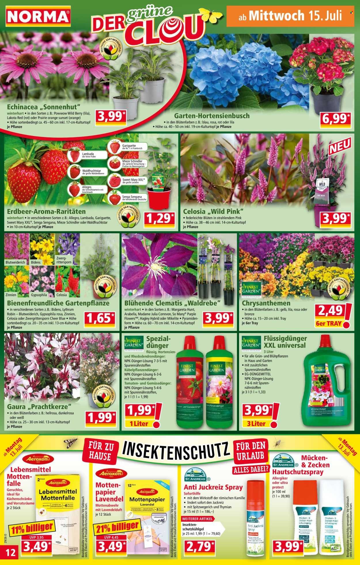 NORMA Prospekt - Ab Montag 13.07.2026
