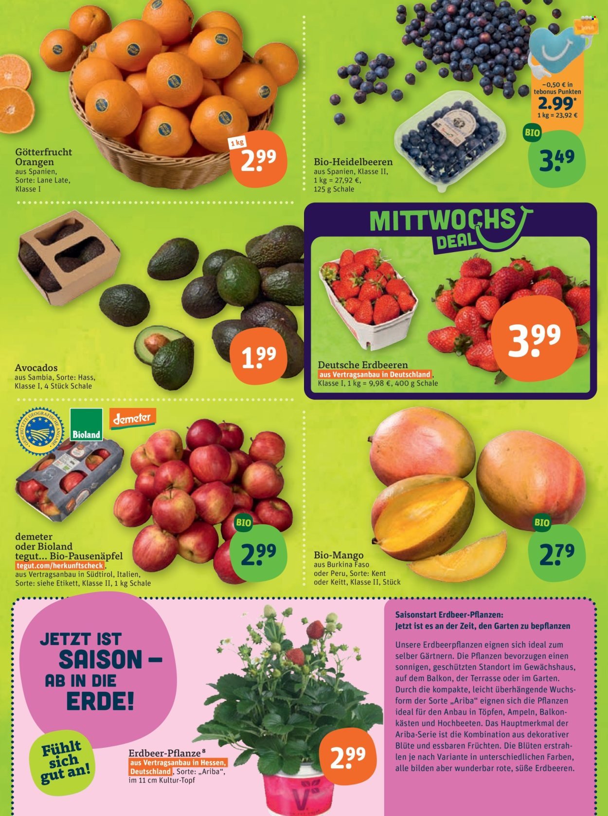 TEGUT... Prospekt - Ab Montag 13.04.2026