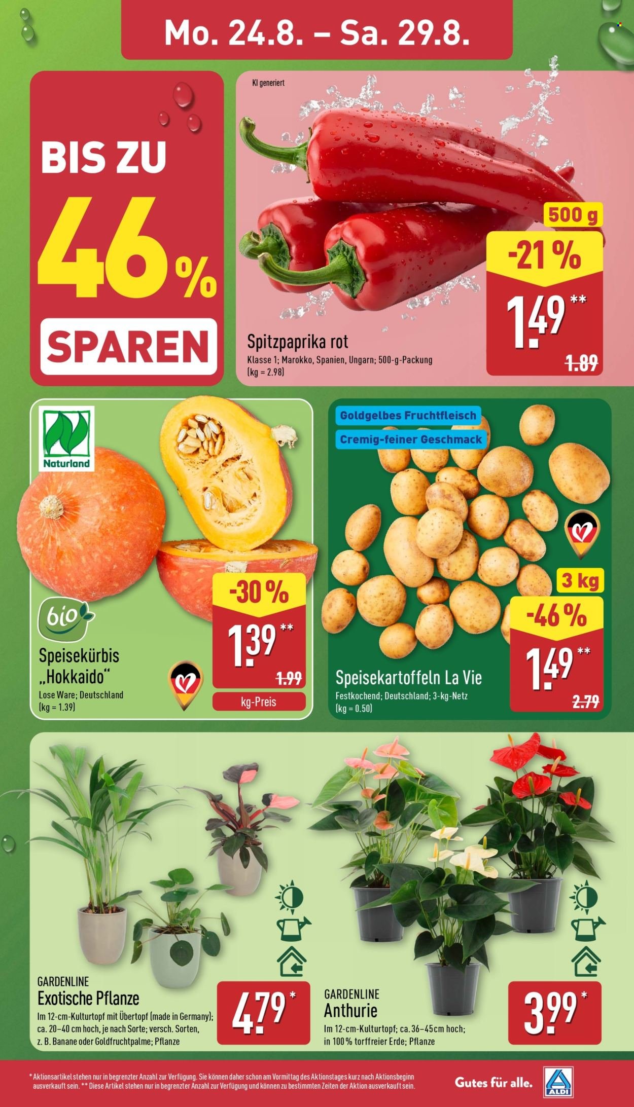 ALDI NORD Prospekt - Italienische Woche