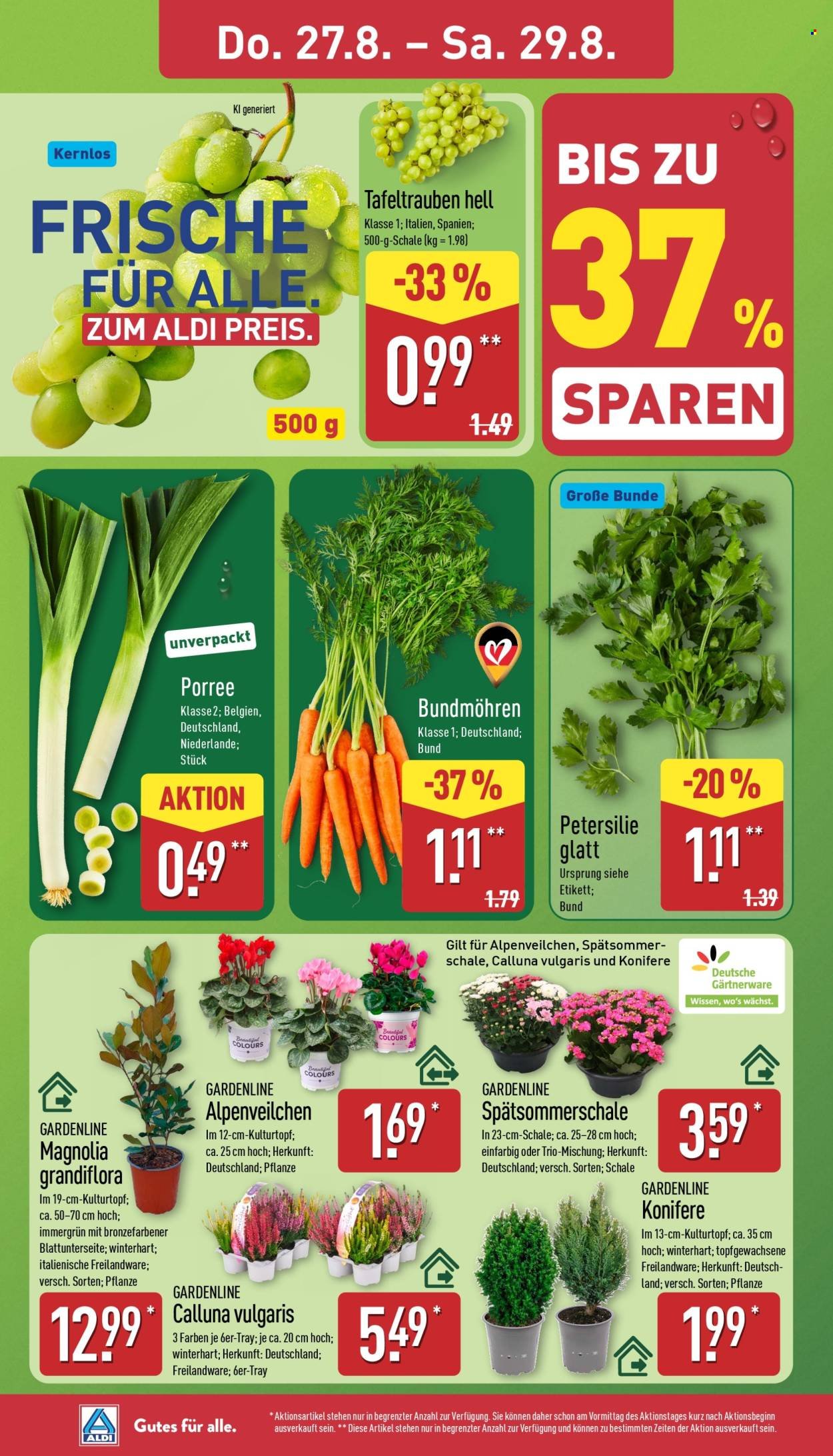 ALDI NORD Prospekt - Italienische Woche