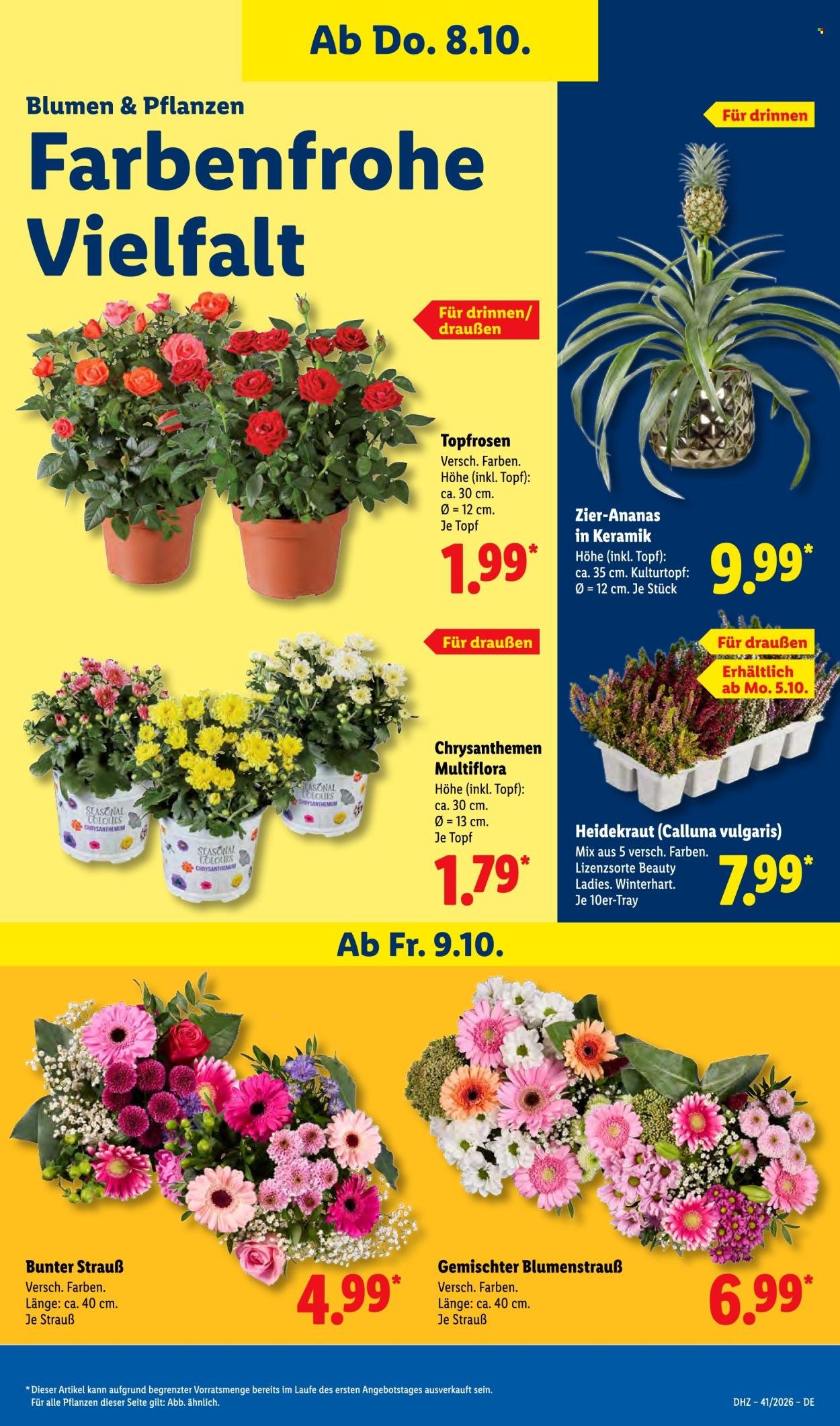LIDL Prospekt - Ab Montag 5.10.2026