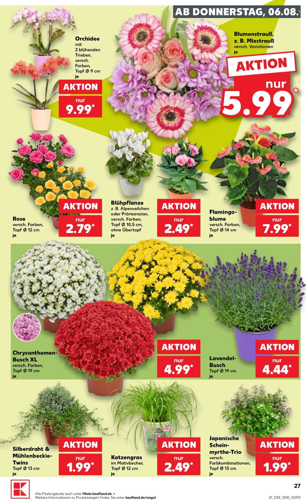 KAUFLAND Prospekt - Ab Donnerstag 6.08.2026