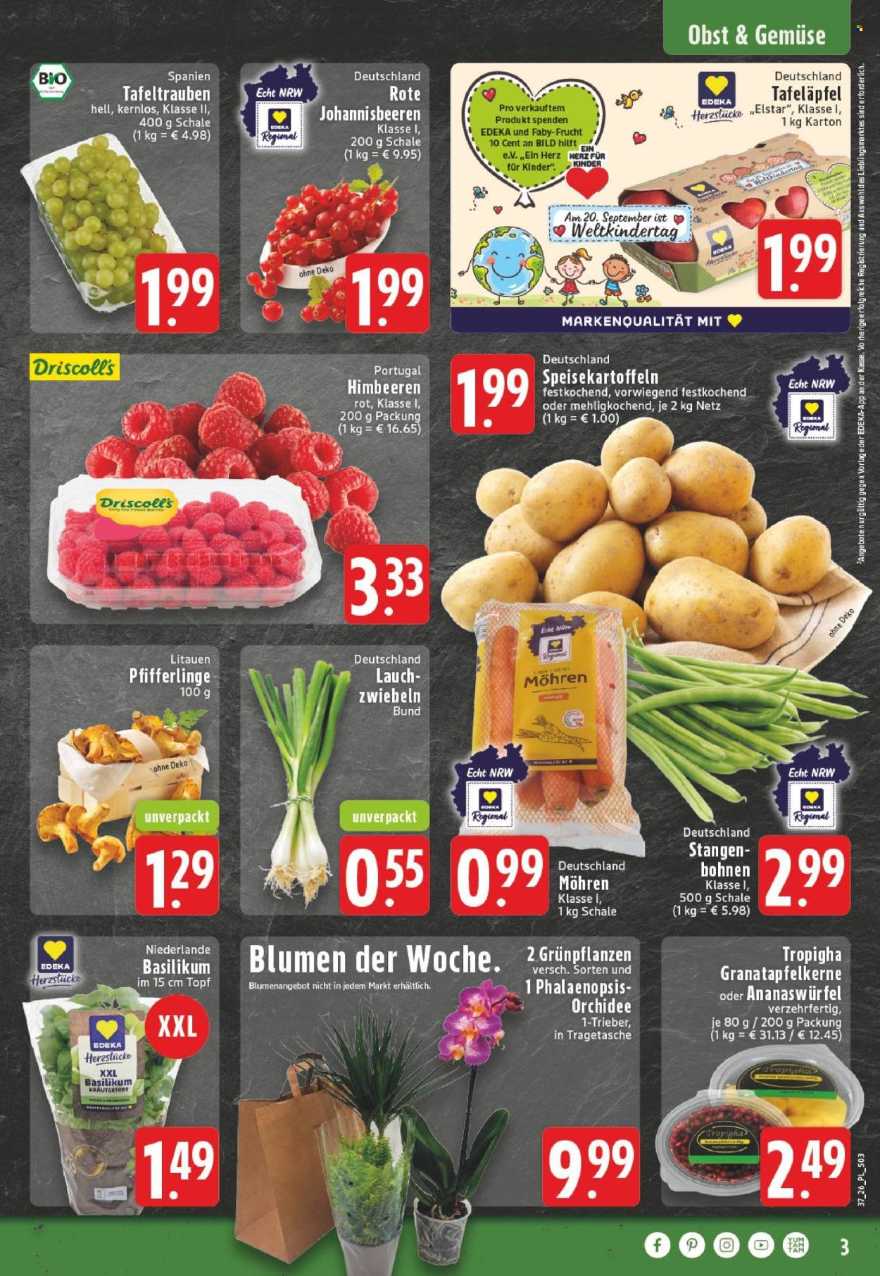 EDEKA Prospekt - Ab Montag 7.09.2026