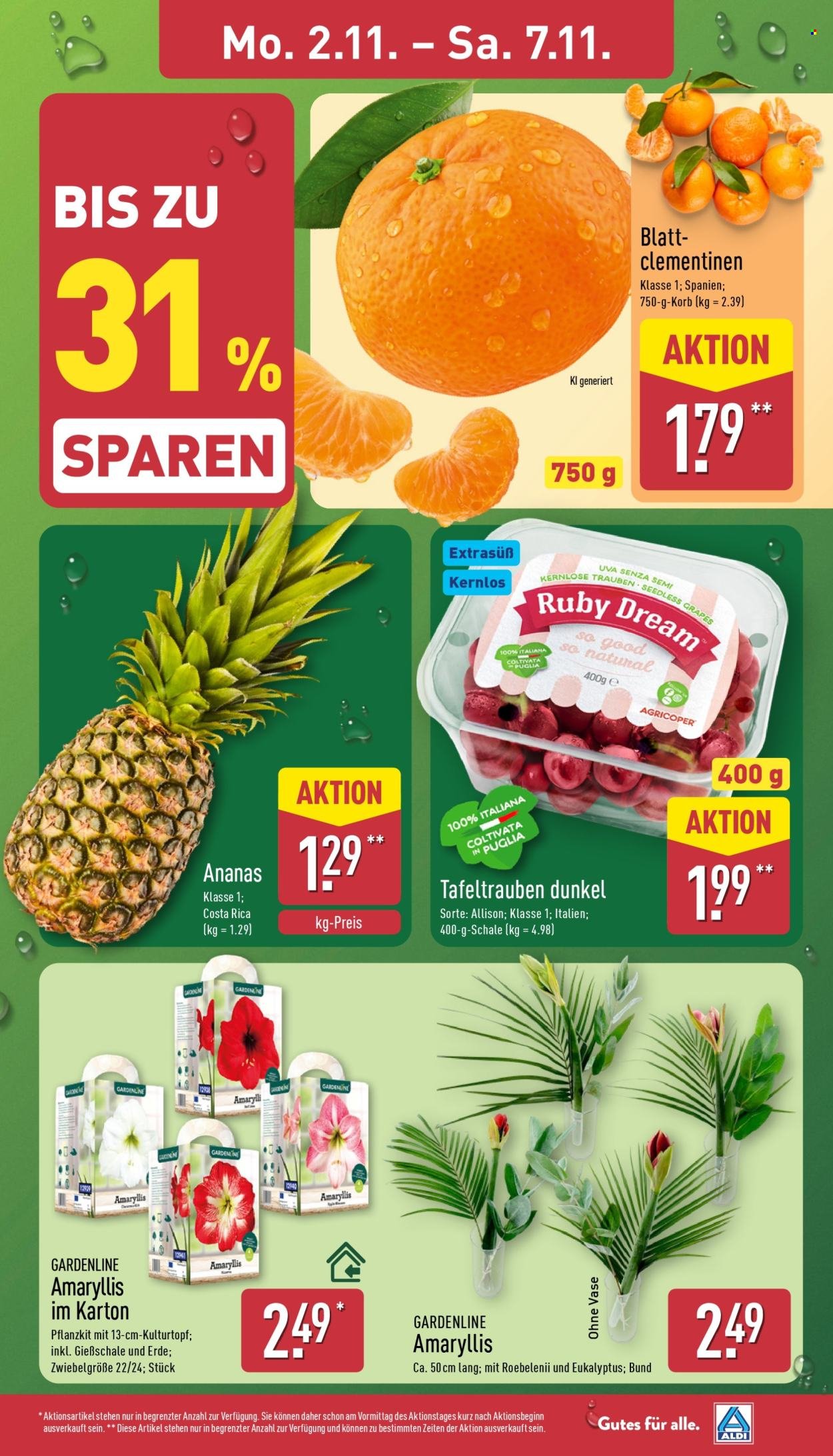 ALDI NORD Prospekt - Ab Montag 2.11.2026