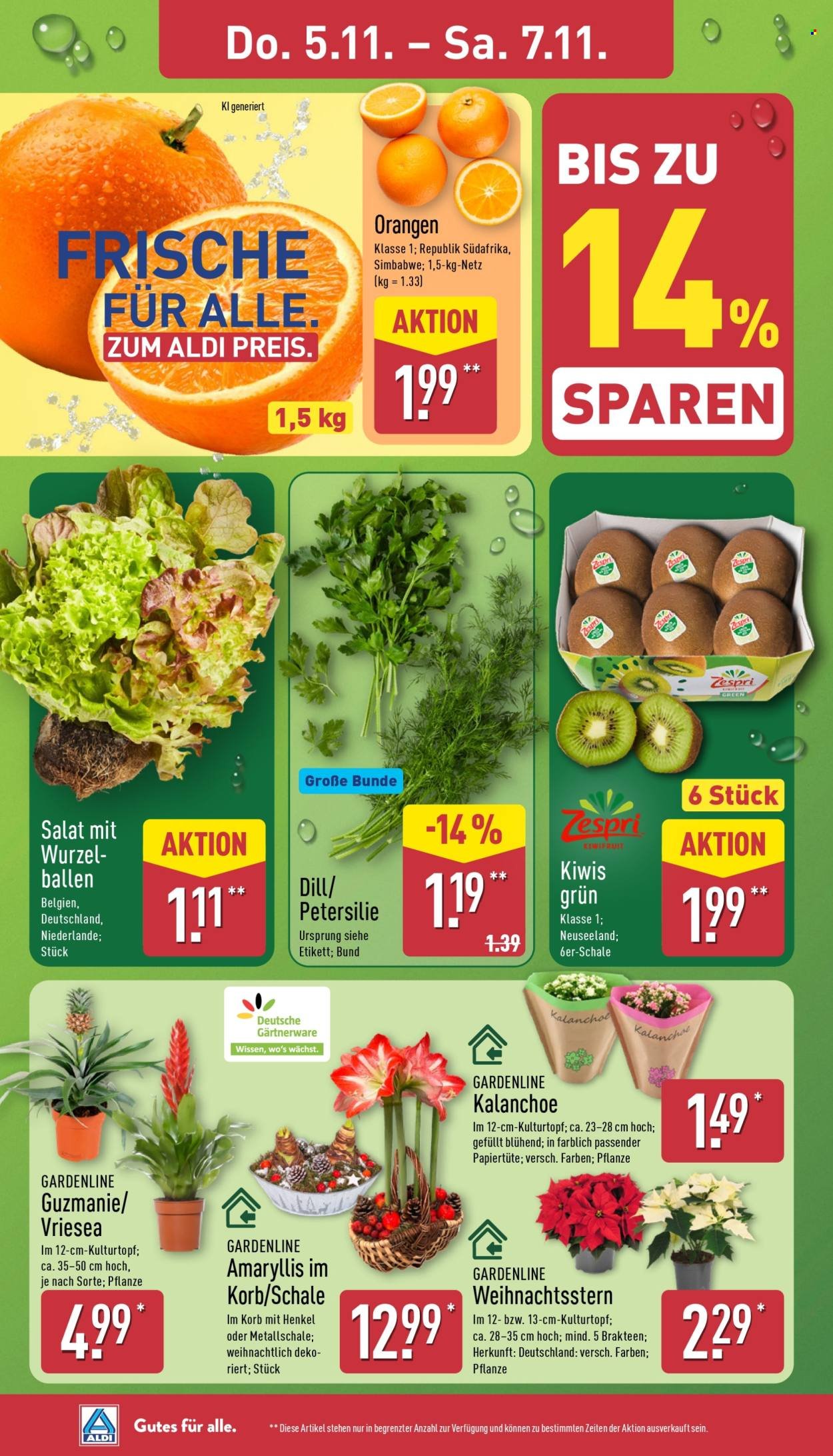 ALDI NORD Prospekt - Ab Montag 2.11.2026