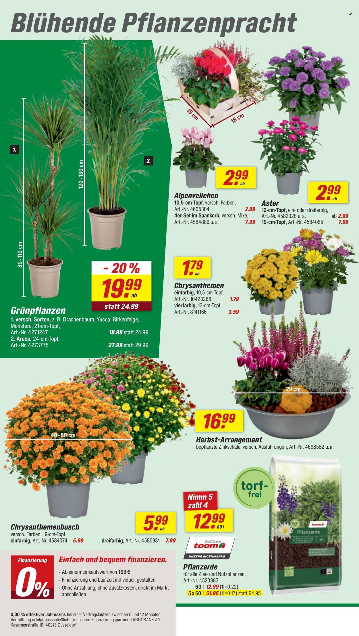 TOOM BAUMARKT Prospekt - Ab Samstag 22.08.2026