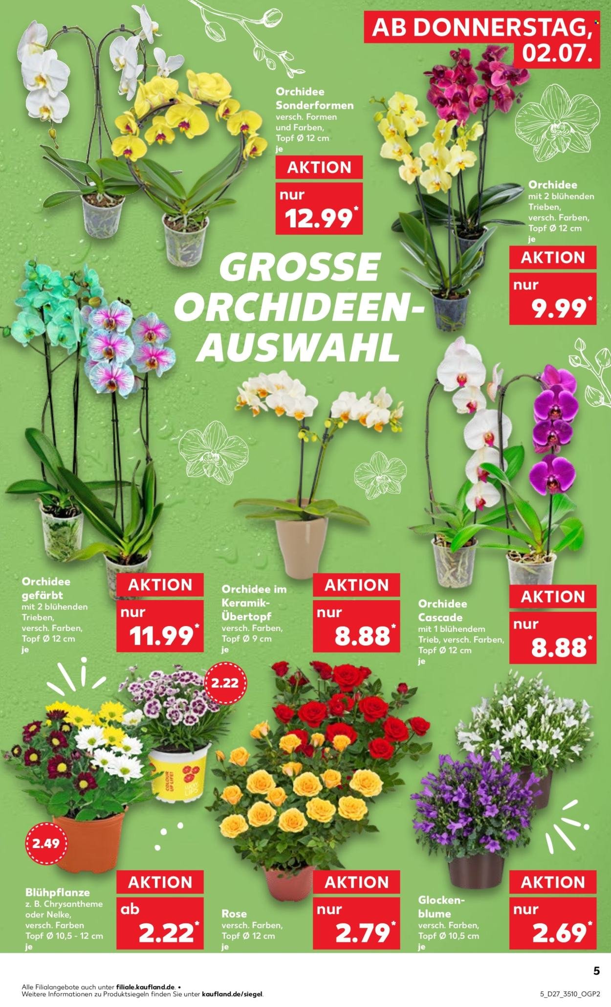 KAUFLAND Prospekt - Ab Donnerstag 2.07.2026