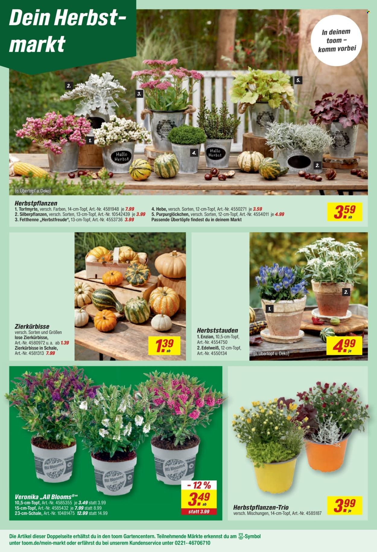 TOOM BAUMARKT Prospekt - Ab Montag 14.09.2026