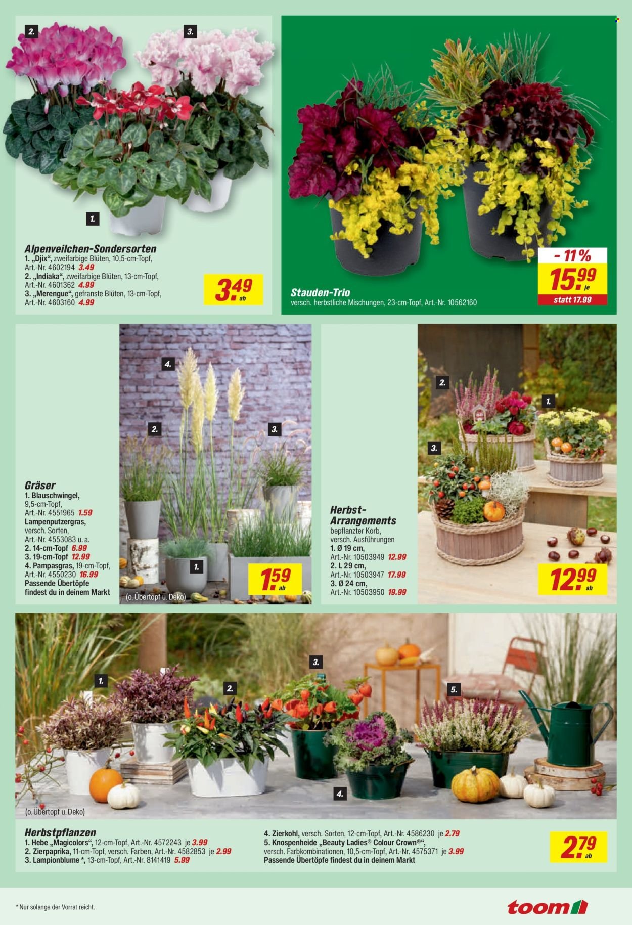 TOOM BAUMARKT Prospekt - Ab Montag 14.09.2026