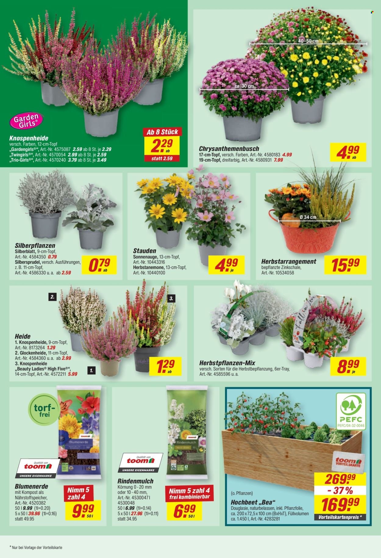 TOOM BAUMARKT Prospekt - Ab Montag 14.09.2026