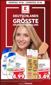 KAUFLAND Prospekt - Ab Montag 19.10.2026