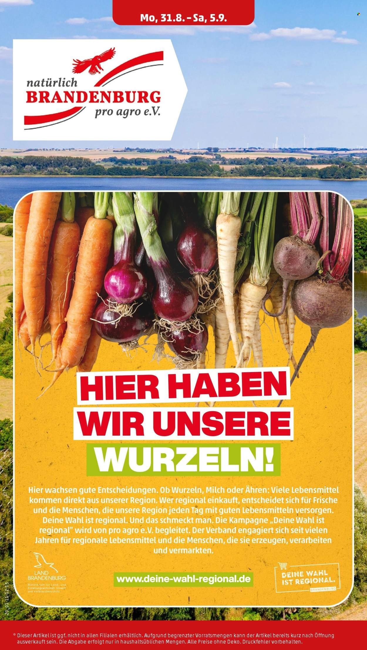 PENNY Prospekt - Ab Montag 31.08.2026