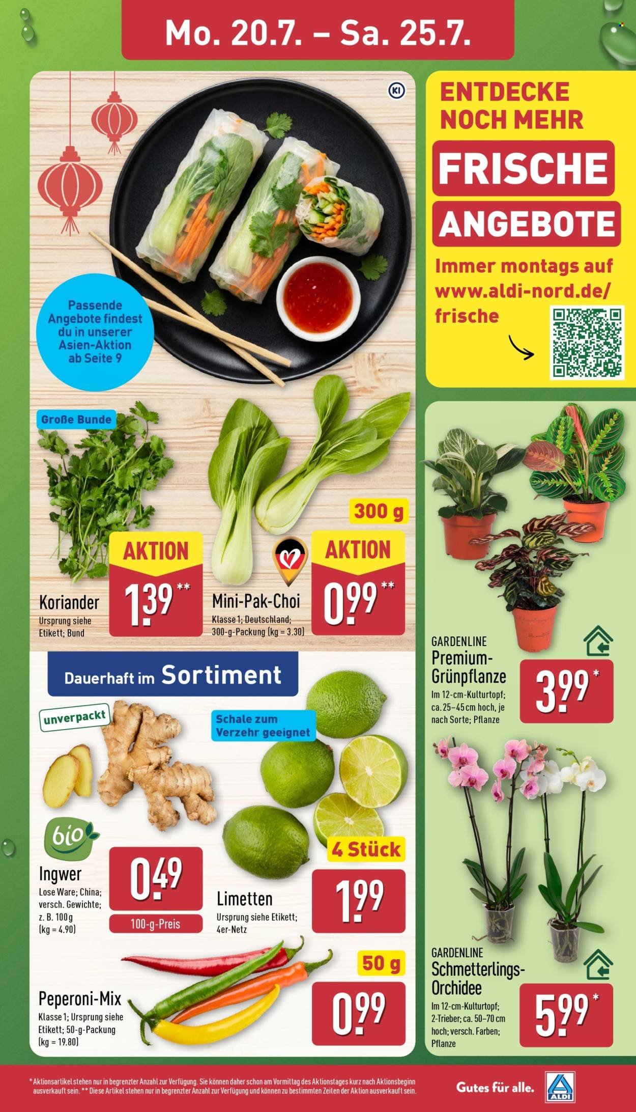 ALDI NORD Prospekt - Asia Woche