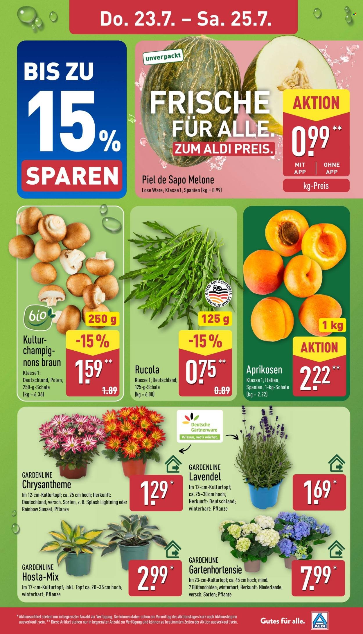 ALDI NORD Prospekt - Asia Woche