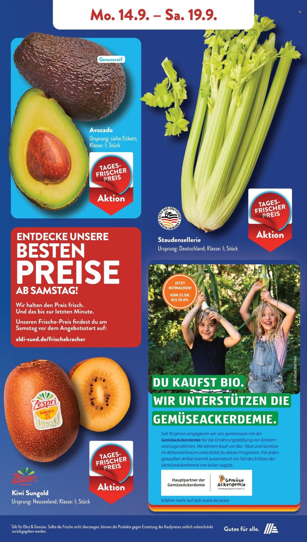 ALDI SÜD Prospekt - Ab Montag 14.09.2026