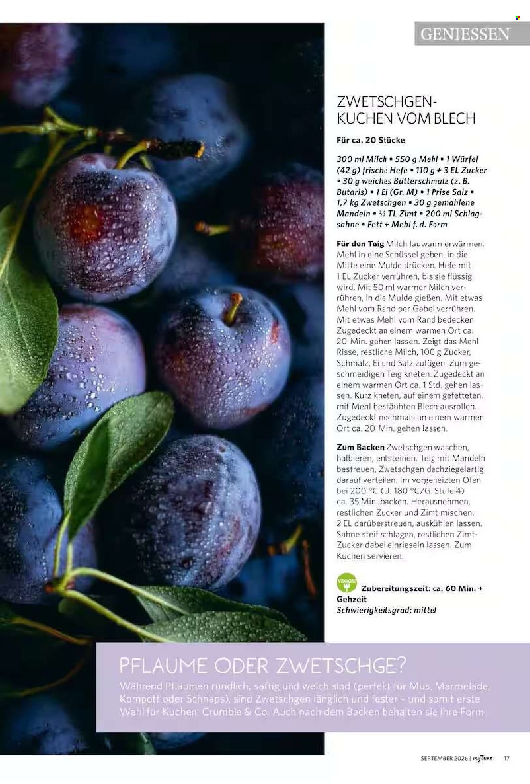 FAMILA Prospekt - myTime Magazin