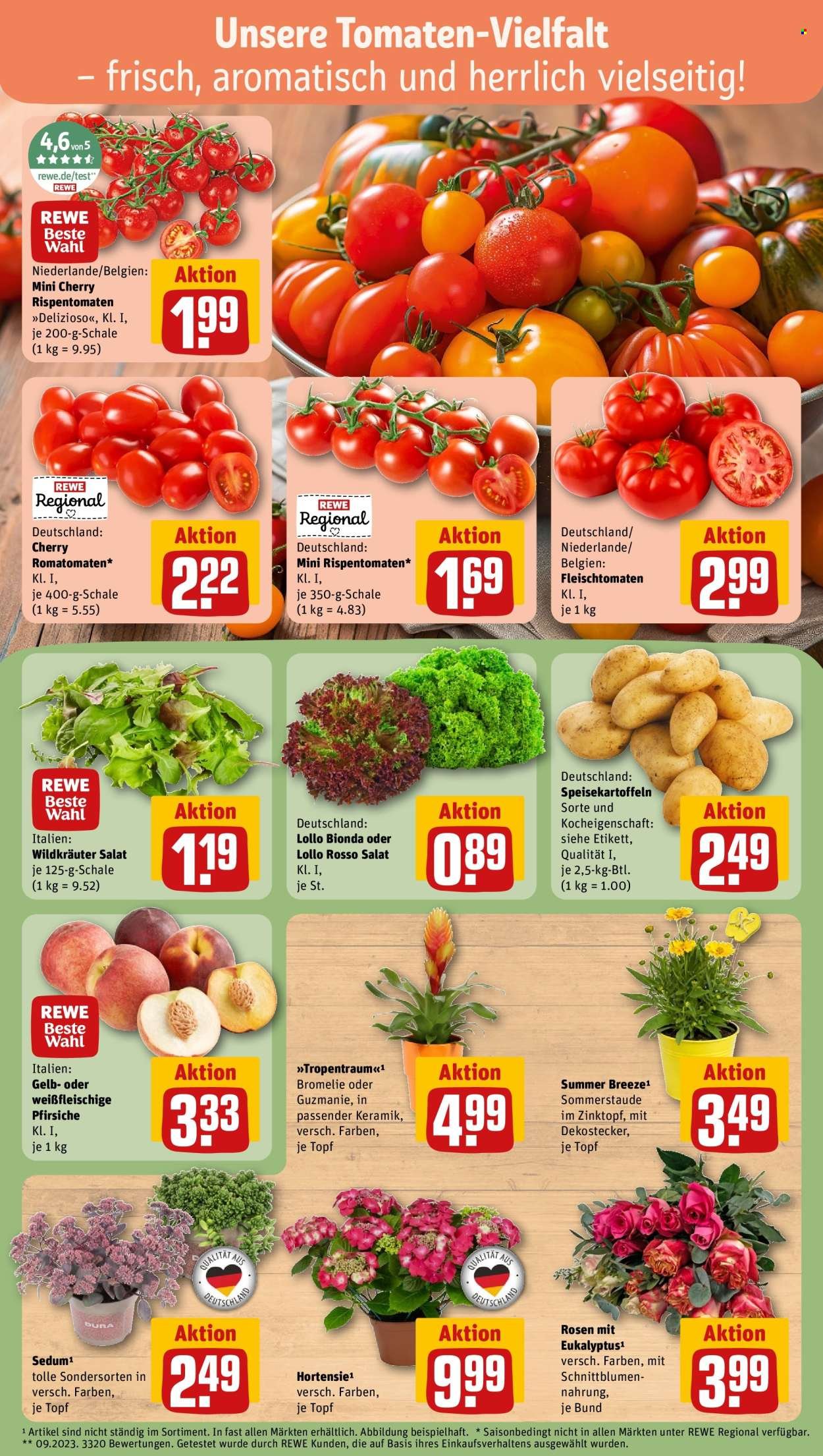 REWE Prospekt - Ab Montag 13.07.2026