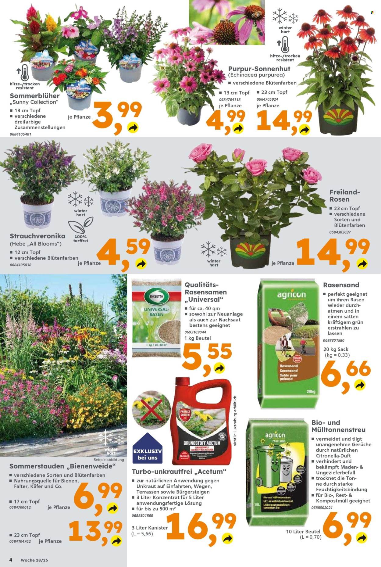 GLOBUS BAUMARKT Prospekt - Ab Montag 6.07.2026