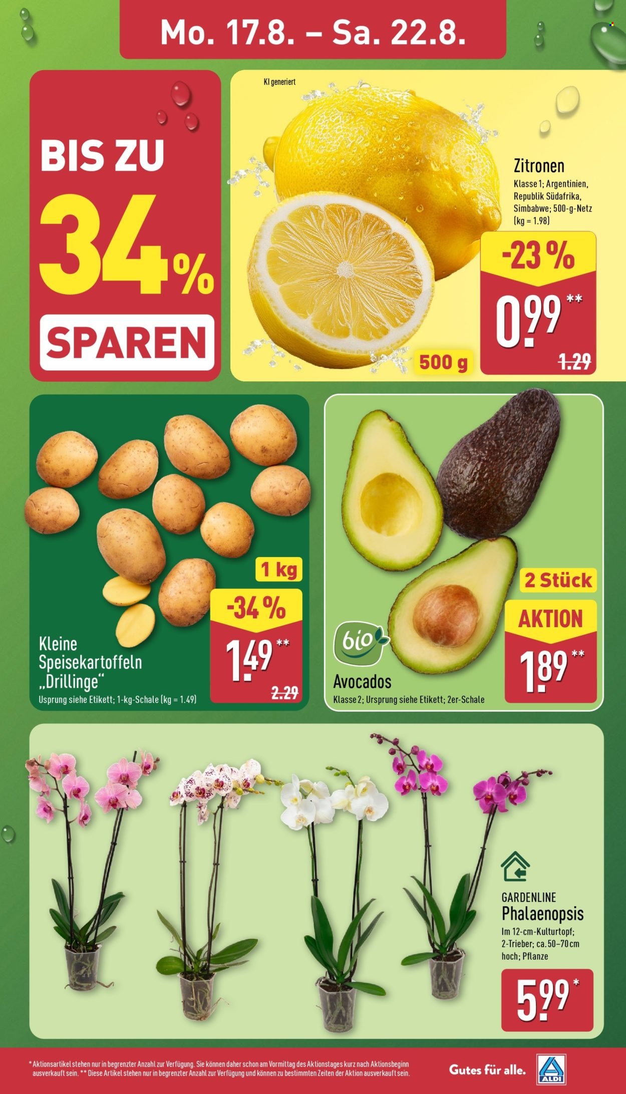 ALDI NORD Prospekt - Französische Woche