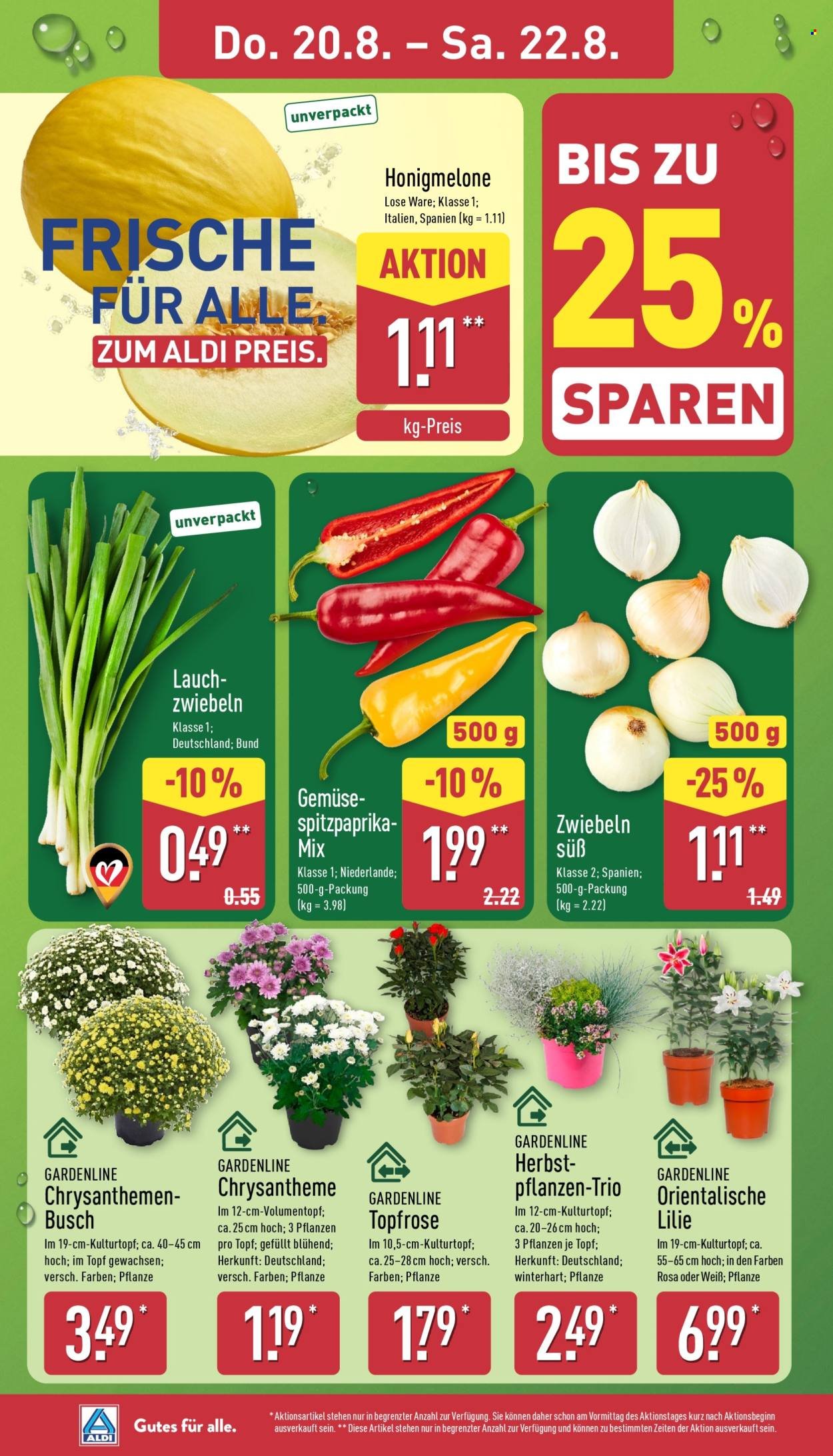 ALDI NORD Prospekt - Französische Woche